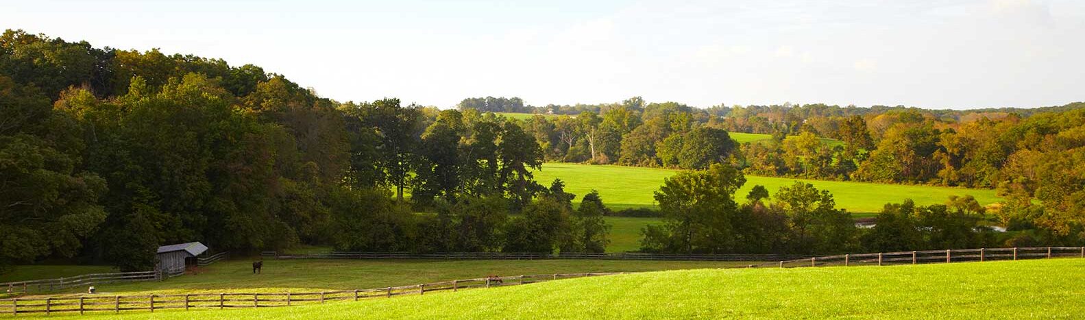 Foxfire Monkton Estate