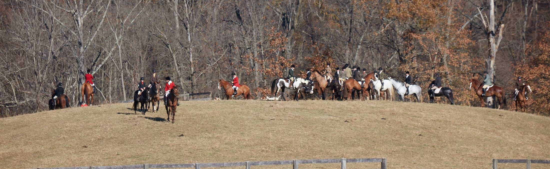 Foxfire Monkton Estate