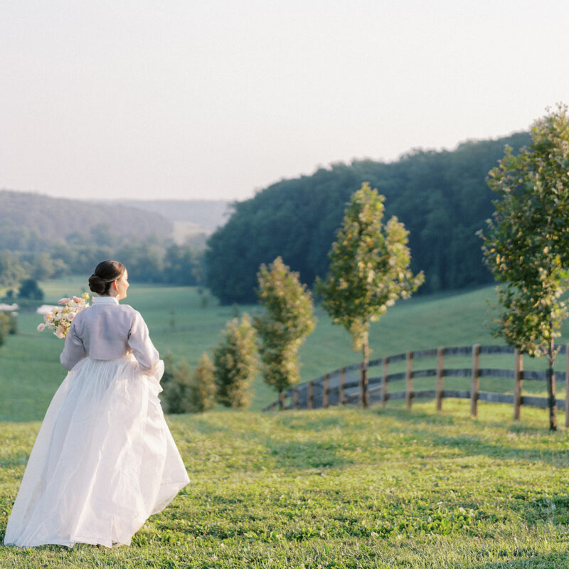 Bride walking down tree-lined field