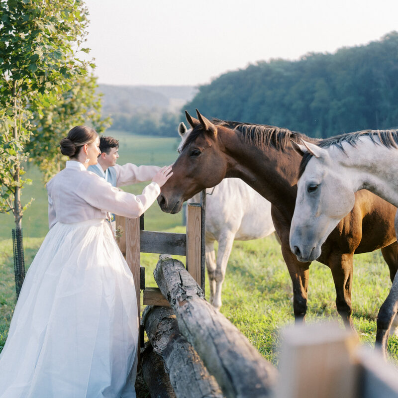 Bride and groom petting horses