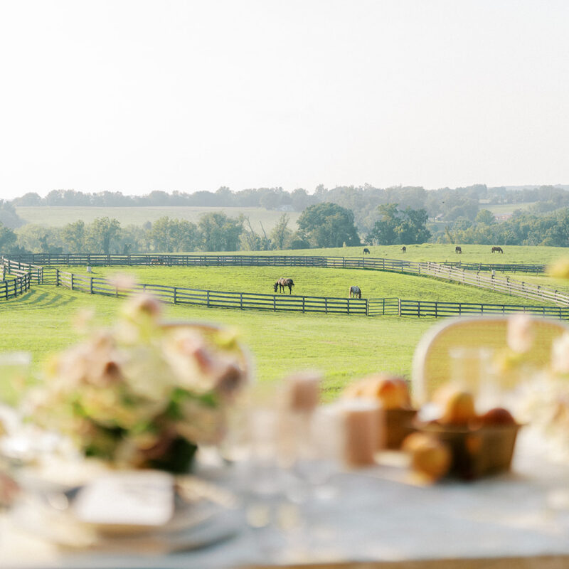wedding reception table set up over looking scenic countryside with views of horses in the background