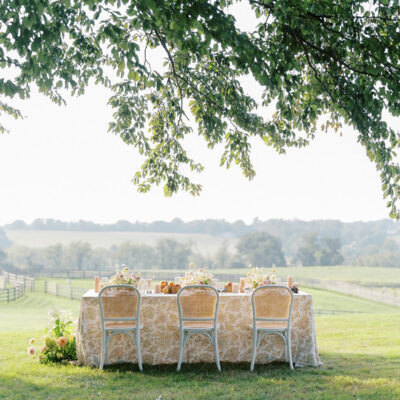 wedding reception table set under a tree overlooking scenic countryside