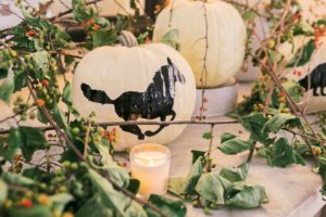 The Scout Guide Fall 2018 Launch Party