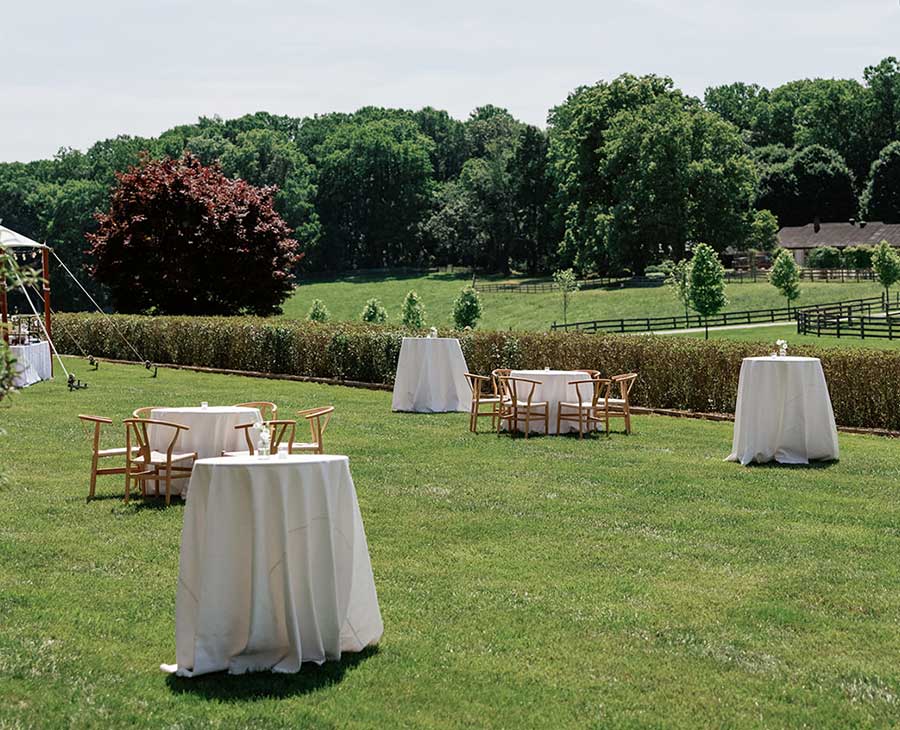 Hardford Hill Copper Beach