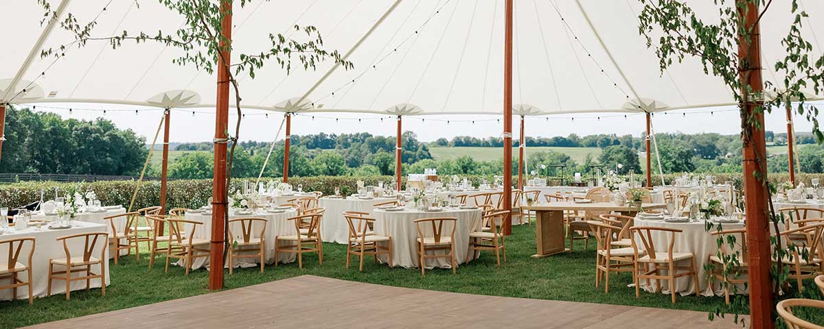 Hardford Hill Copper Beach