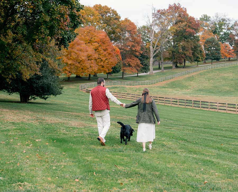 Harford Hill hills and dog