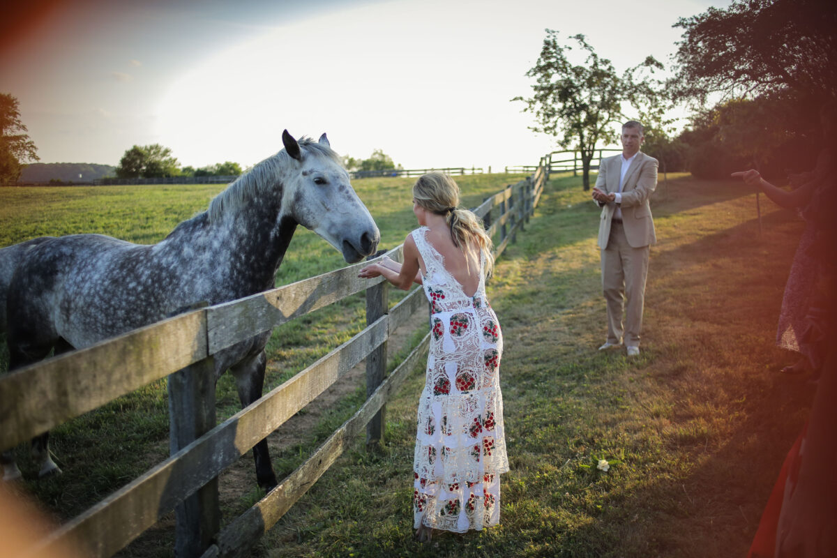 A bride in a lace gown reaching out to a dappled grey horse over the pasture fence at golden hour