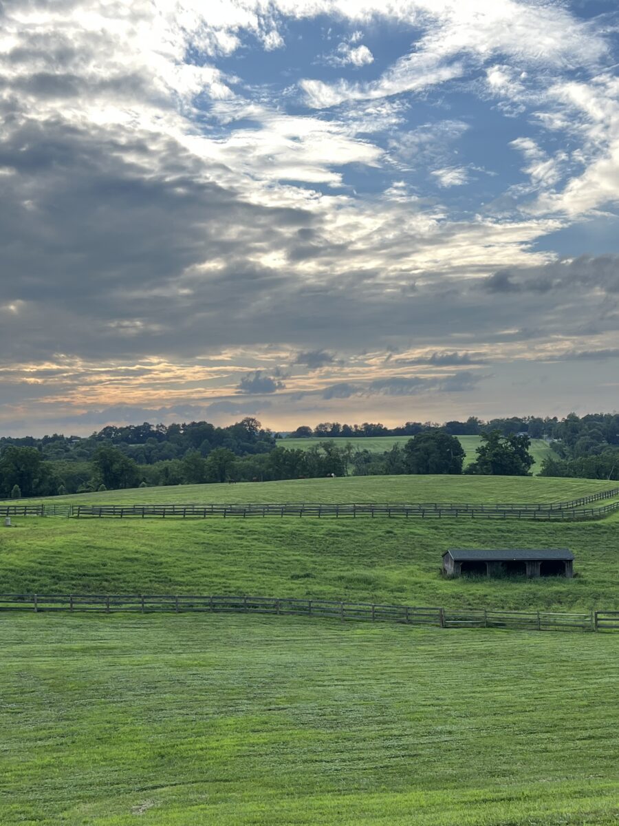 Fenced pastures rolling to the tree line at dusk, with a run-in shed and horses grazing on the ridge