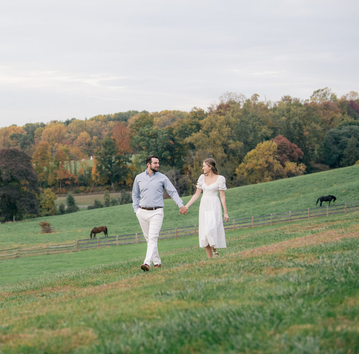 A couple walk hand in hand across the pasture at Harford Hill, with horses grazing behind a post-and-rail fence and autumn woods beyond.